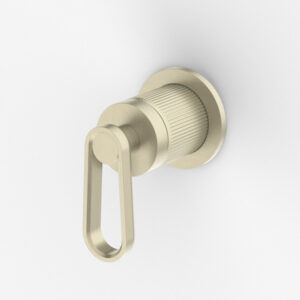 Novas - Frame - FRAIWMLSG - In Wall Mixer with Lever - Satin Gold