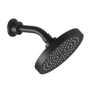Phoenix - Pina - 153-5900-10 - Shower Arm & 150mm Round Rose - Matte Black